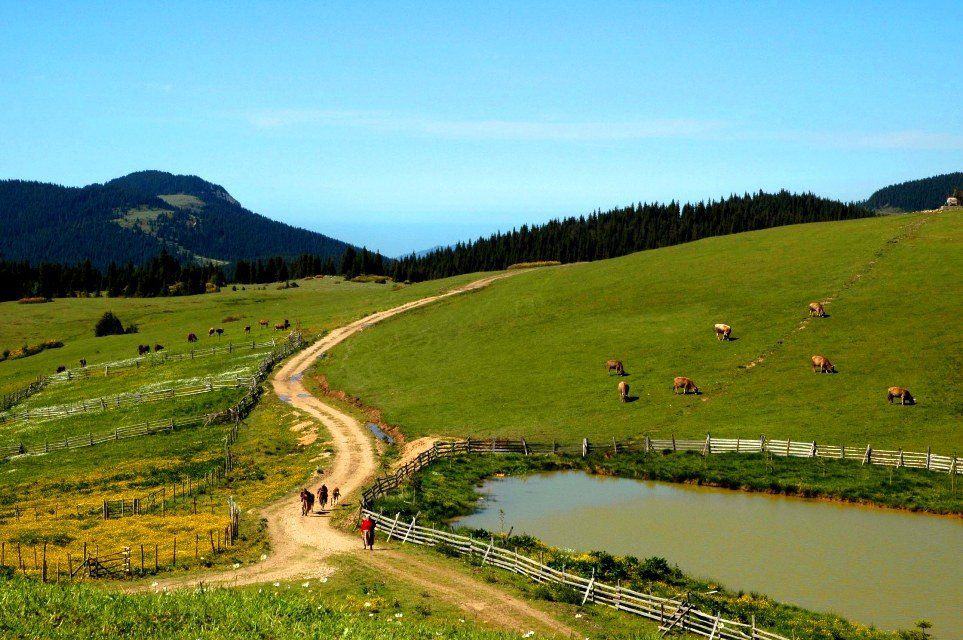 tokat-topcam-yaylasi-resimleri