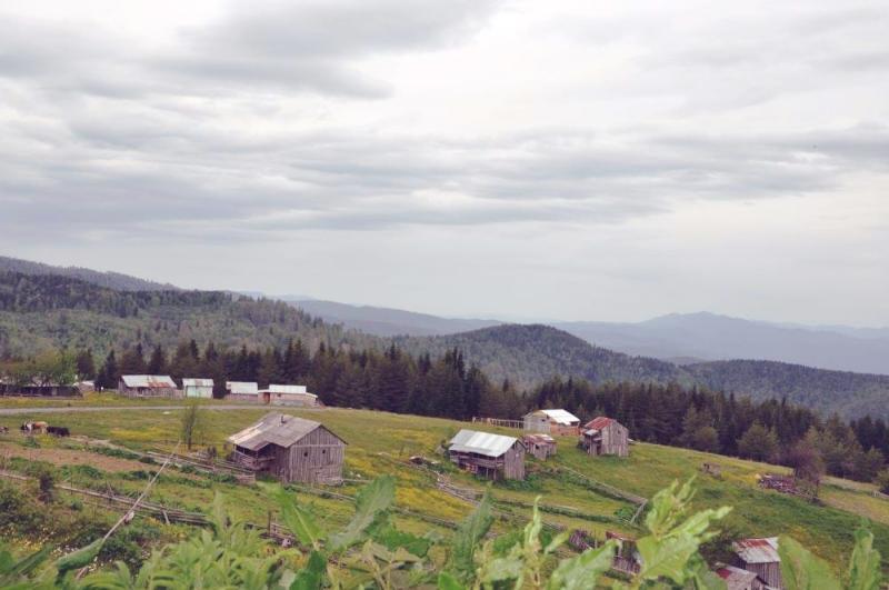 Torkul Göleti – Düzce