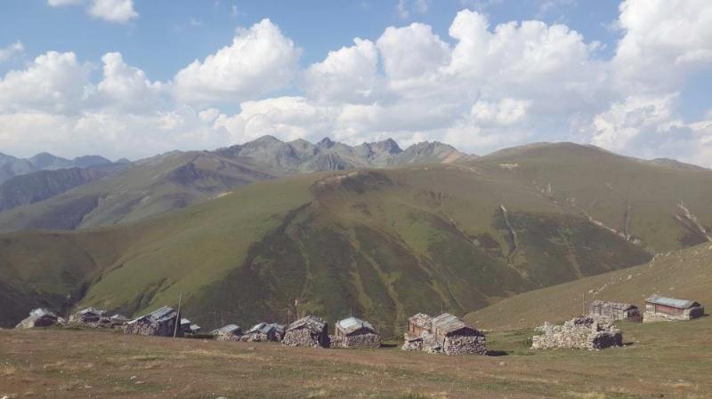 Vaşa Yaylası – Rize