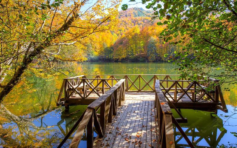 Yedigöller Tabiat Parkı