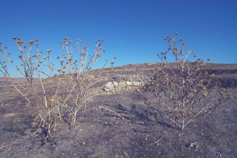 Zile Maşat Höyük – Tokat