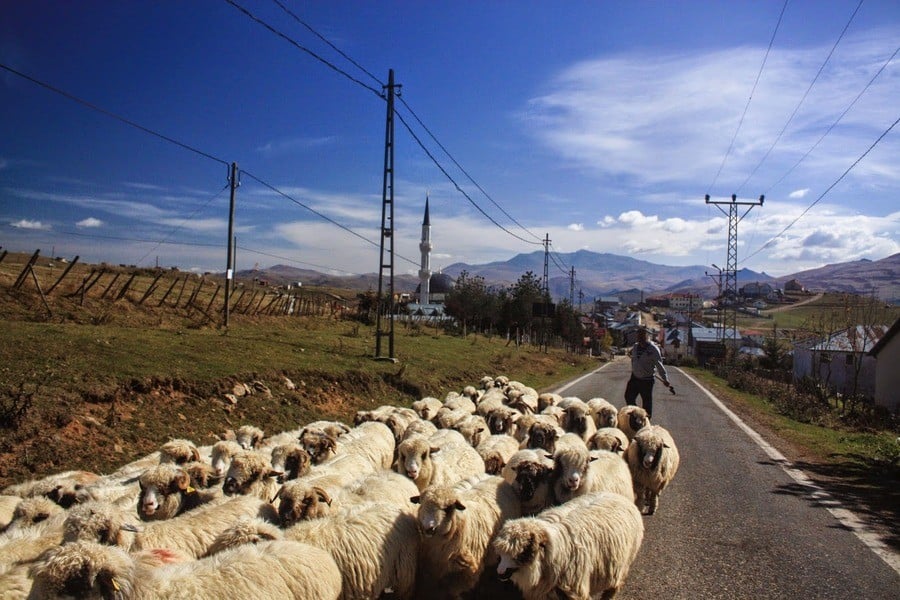 Çambaşı Yaylası 4