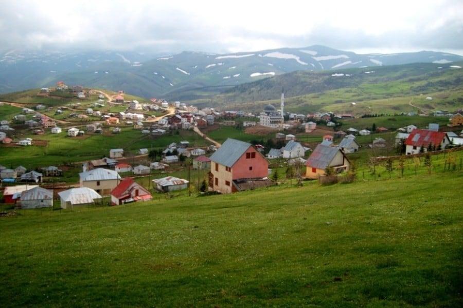 Çambaşı Yaylası